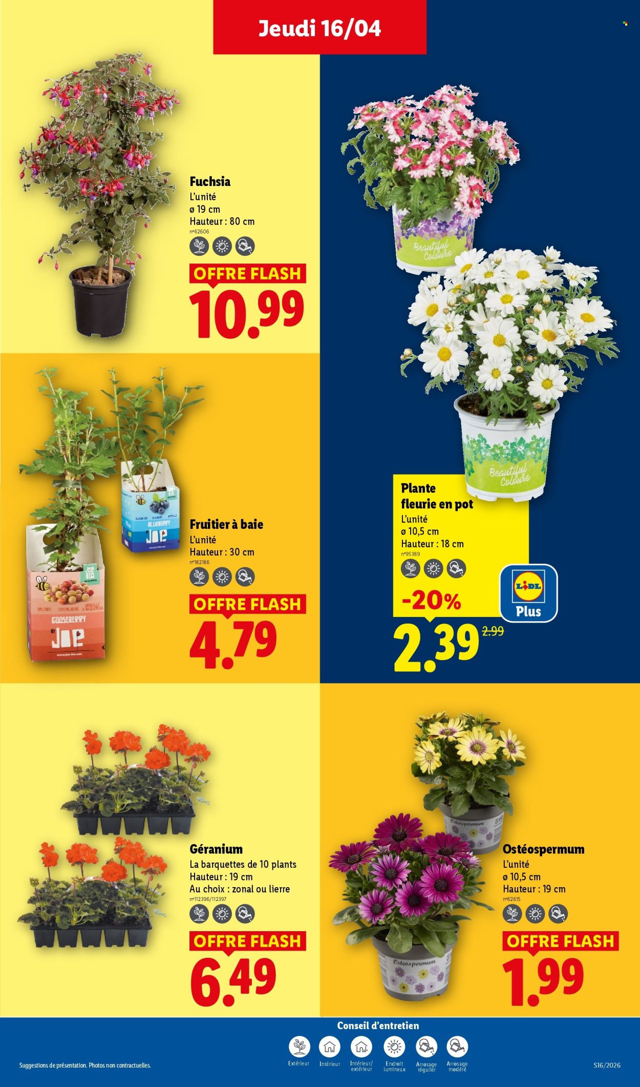 Catalogue Lidl - 16/04/2026 - 22/04/2026. Page 27