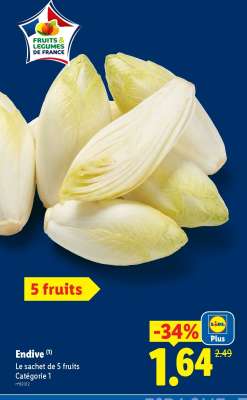 ENDIVE