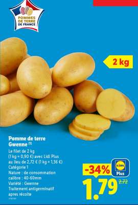 Pomme de terre Gwenne