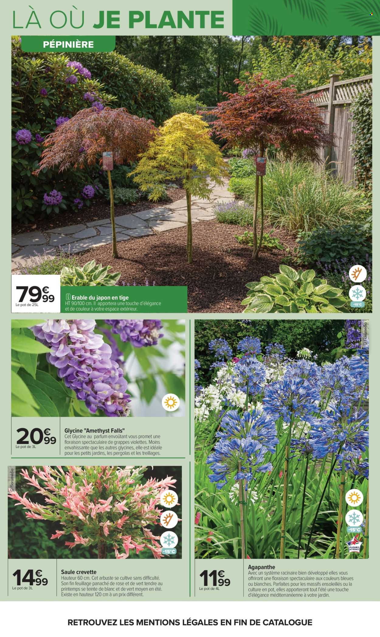 Catalogue Carrefour Hypermarchés - 14/04/2026 - 27/04/2026. Page 7