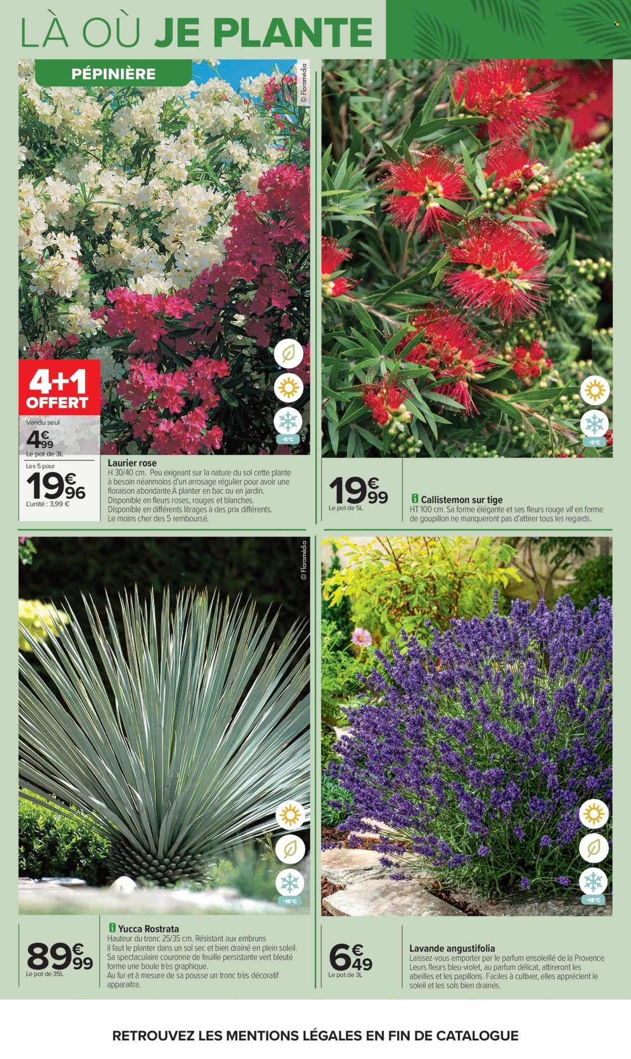 Catalogue Carrefour Hypermarchés - 14/04/2026 - 27/04/2026. Page 8
