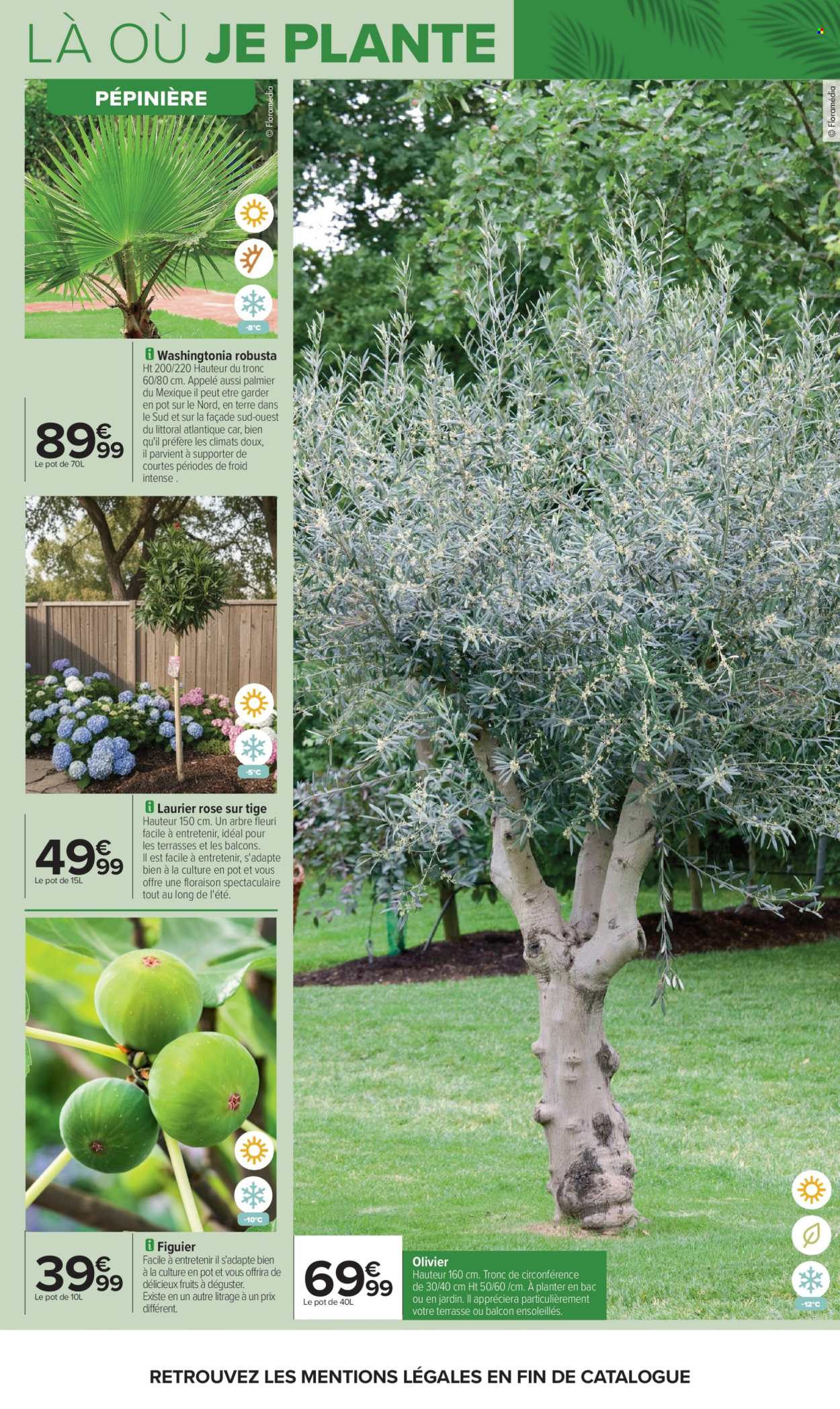 Catalogue Carrefour Hypermarchés - 14/04/2026 - 27/04/2026. Page 9