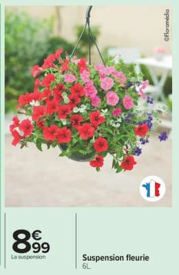 Suspension fleurie