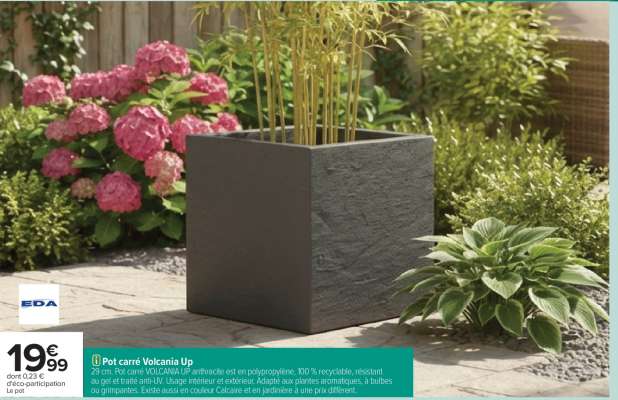 POT CARRÉ 'VOLCANIA UP'