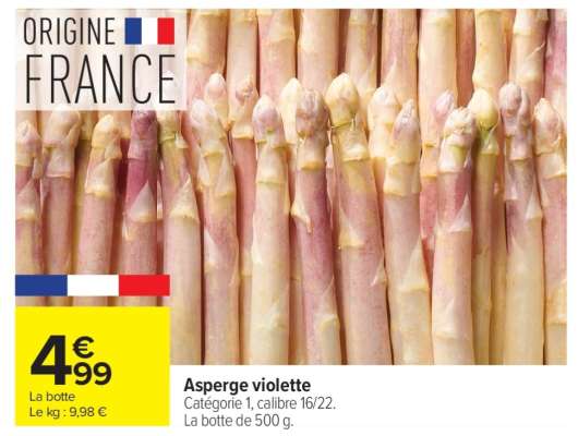 ASPERGE VIOLETTE