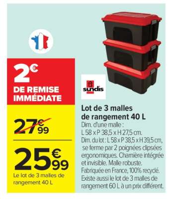 Lot de 3 malles de rangement 40 L