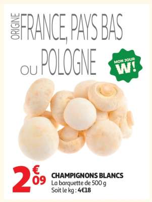 Champignons Blancs