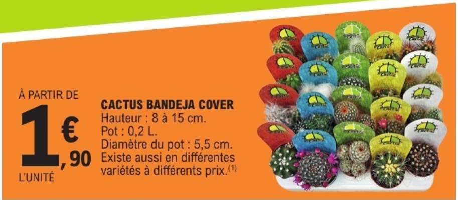 CACTUS BANDEJA COVER