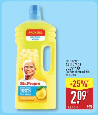 MR. PROPRE NETTOYANT SOL