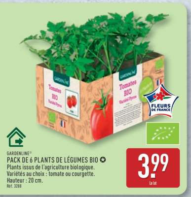 PACK DE 6 PLANTS DE LÉGUMES BIO