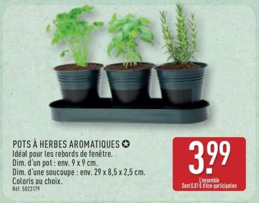 POTS À HERBES AROMATIQUES