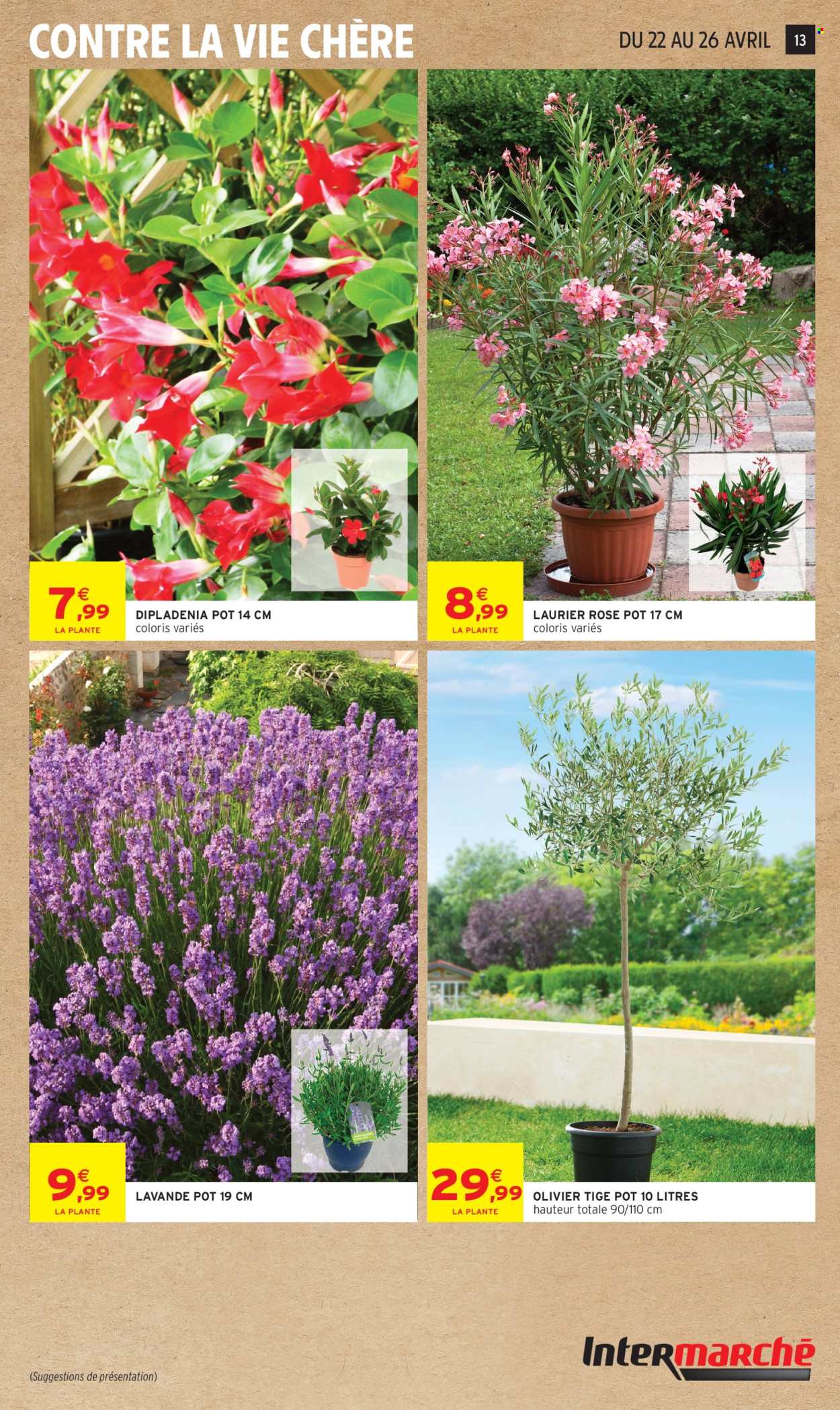 Catalogue Intermarché Hyper - 21/04/2026 - 03/05/2026. Page 13