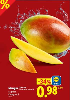 Mangue