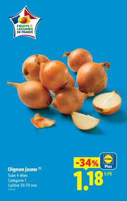 OIGNON JAUNE