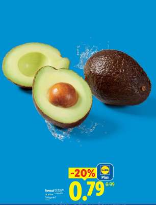 Avocat