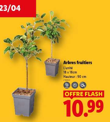 Arbres Fruitiers