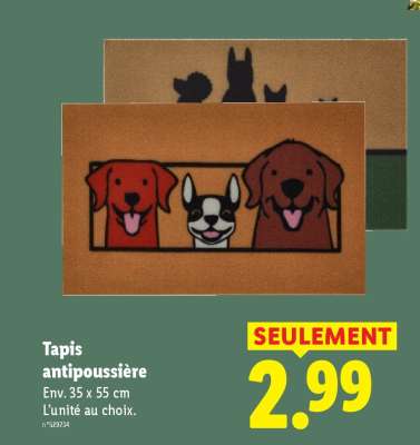 Tapis antipoussière