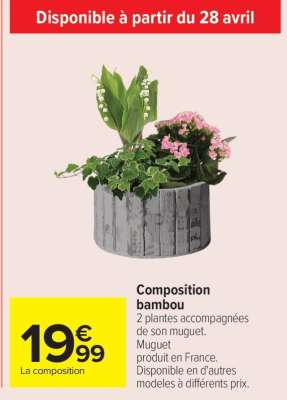 Composition bambou