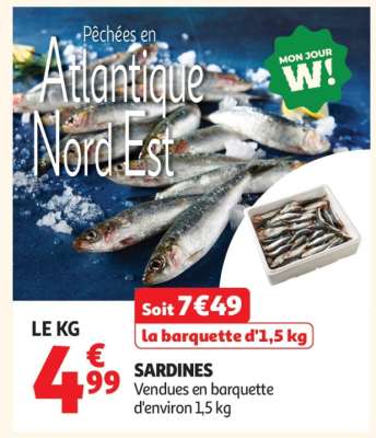 Sardines