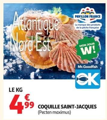 COQUILLE SAINT-JACQUES (Pecten maximus)