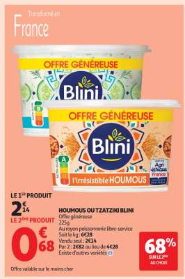 HOUMOUS OU TZATZIKI BLINI