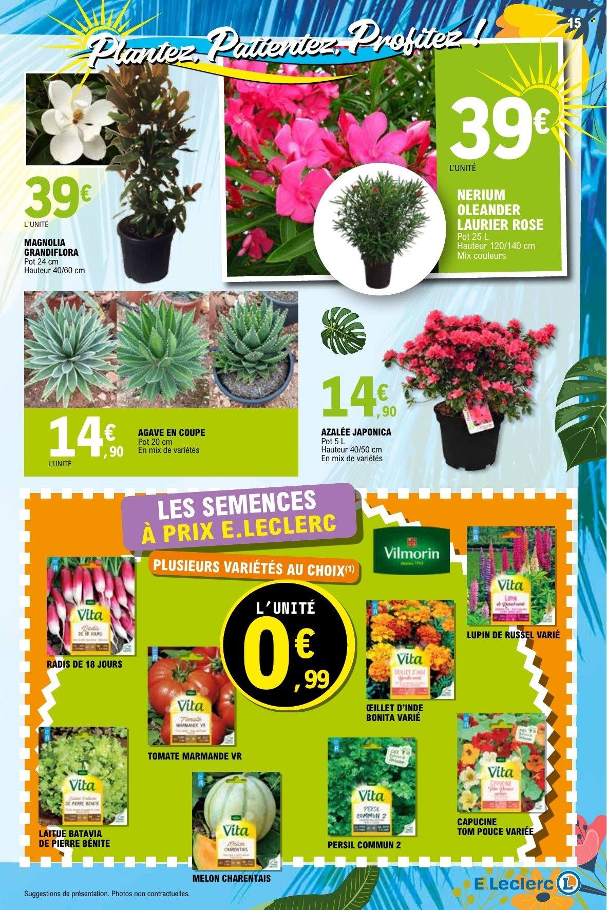 Catalogue E.Leclerc - 21/04/2026 - 09/05/2026. Page 15