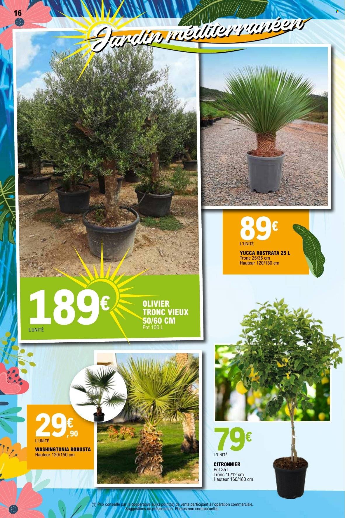 Catalogue E.Leclerc - 21/04/2026 - 09/05/2026. Page 16