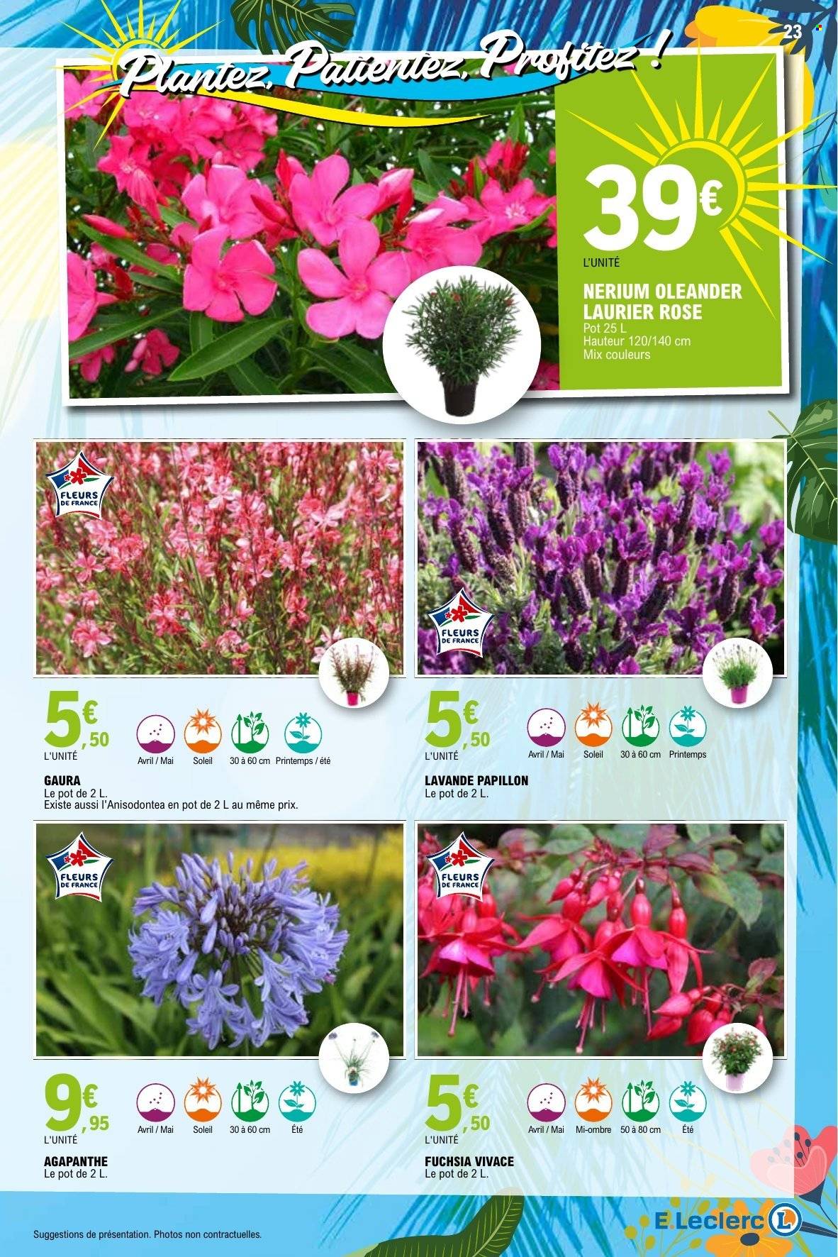 Catalogue E.Leclerc - 21/04/2026 - 09/05/2026. Page 23