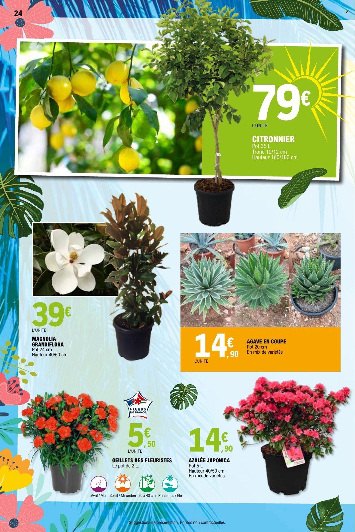 Catalogue E.Leclerc - 21/04/2026 - 09/05/2026. Page 24