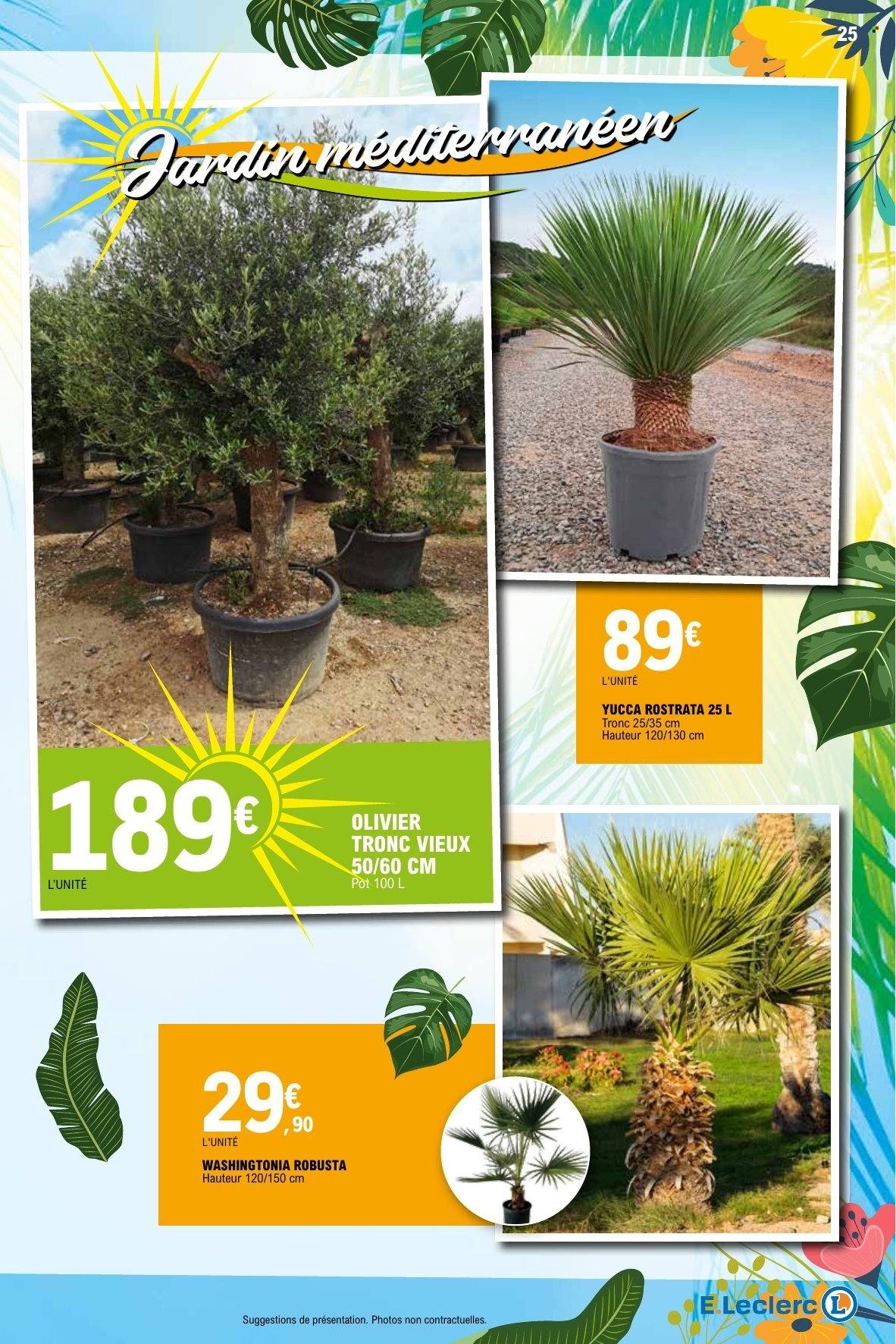 Catalogue E.Leclerc - 21/04/2026 - 09/05/2026. Page 25