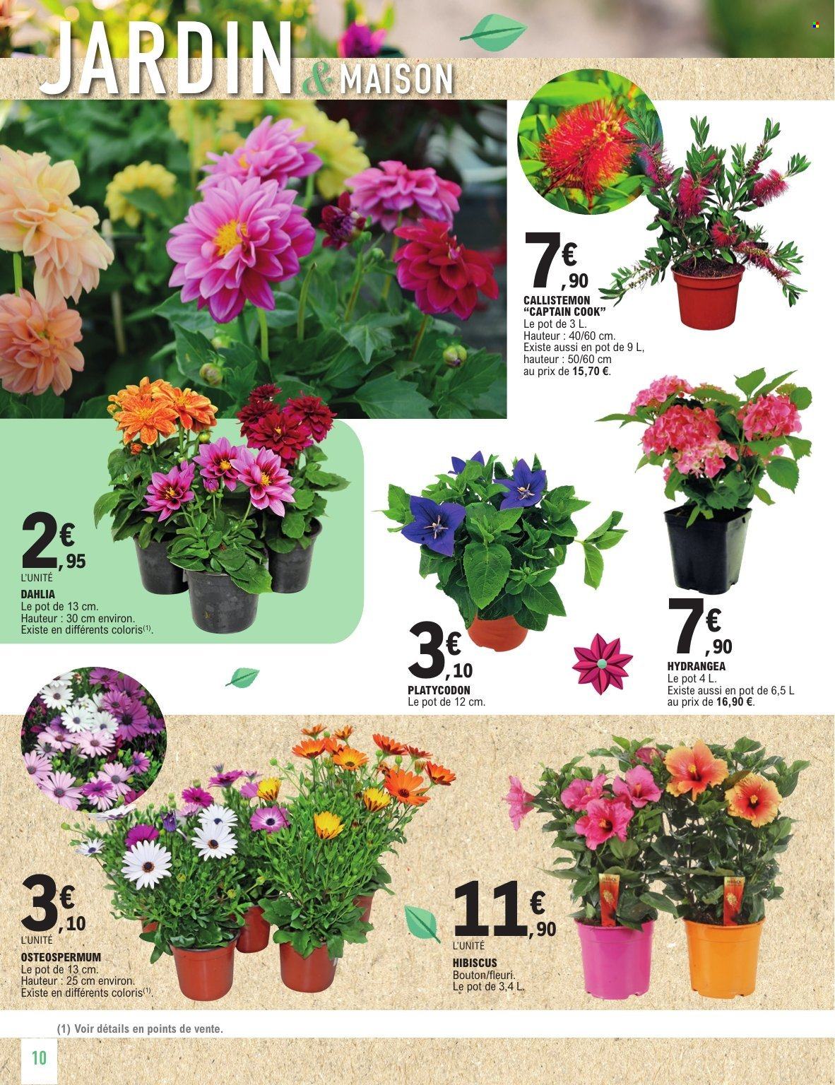 Catalogue E.Leclerc - 21/04/2026 - 03/05/2026. Page 10