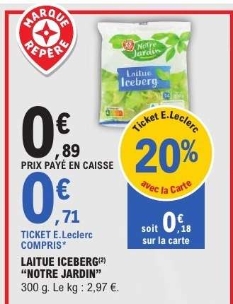 Laitue Iceberg "Notre Jardin"