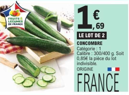 LE LOT DE 2 CONCOMBRE