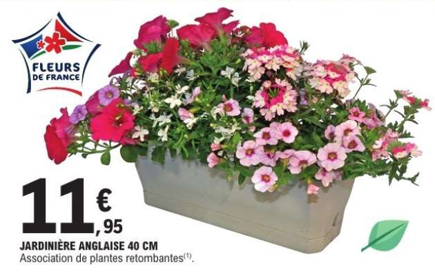 JARDINIÈRE ANGLAISE 40 CM