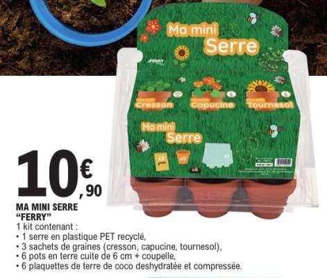 MA MINI SERRE “FERRY”