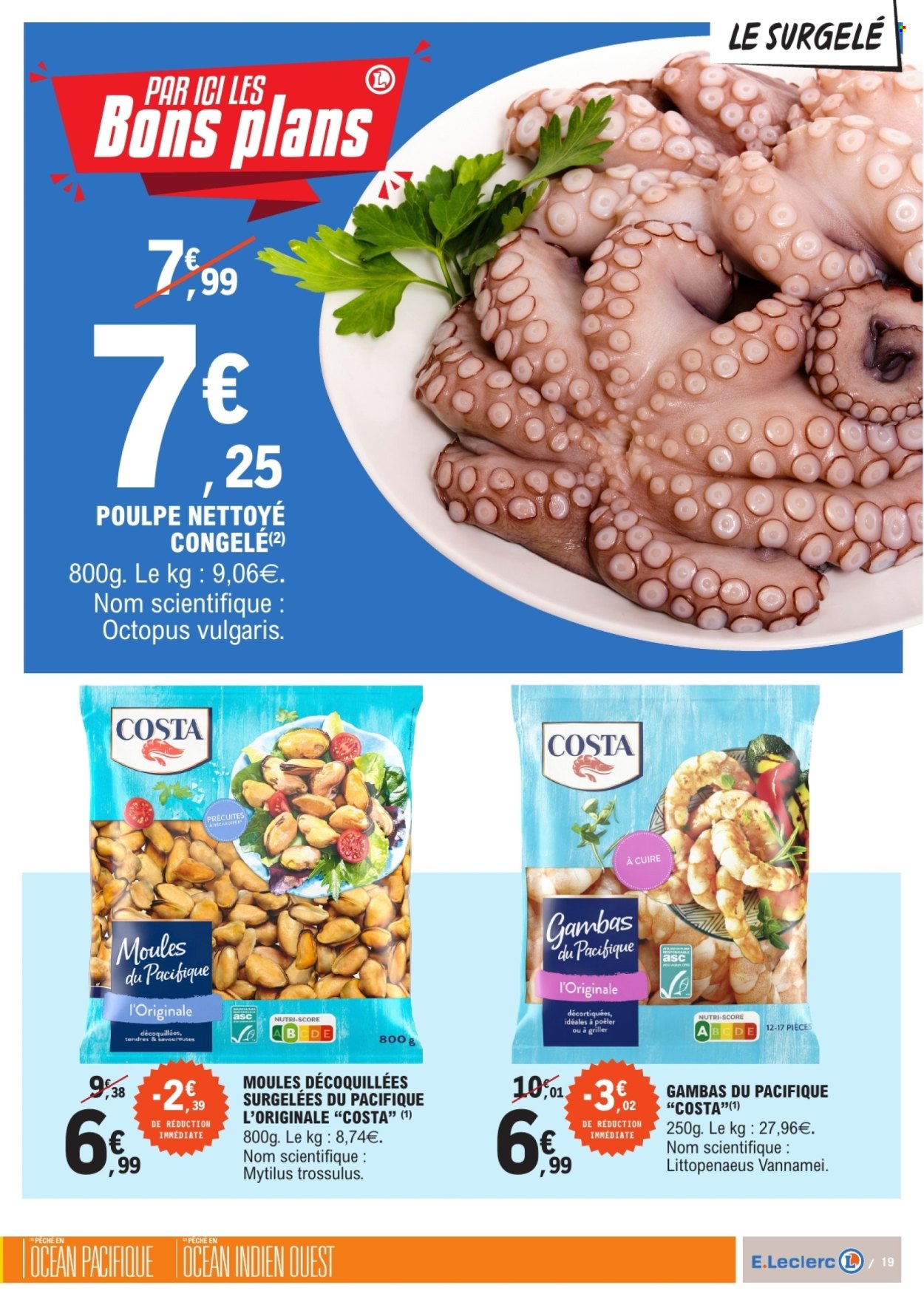 Catalogue E.Leclerc - 21/04/2026 - 03/05/2026. Page 19