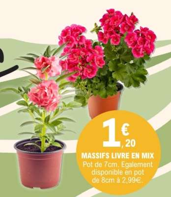 MASSIFS LIVRE EN MIX