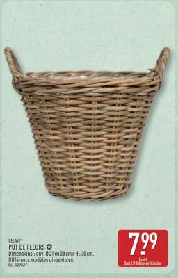 Pot de fleurs