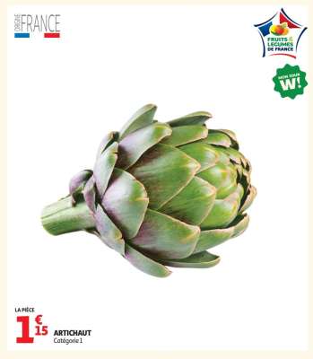 ARTICHAUT
