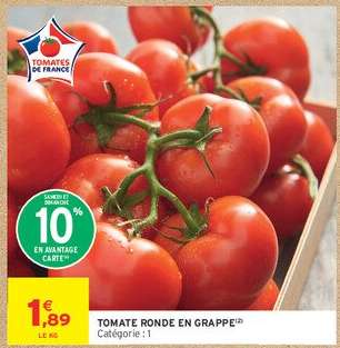 TOMATE RONDE EN GRAPPE