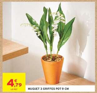MUGUET 3 GRIFFES POT 9 CM