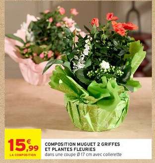 COMPOSITION MUGUET 2 GRIFFES ET PLANTES FLEURIES