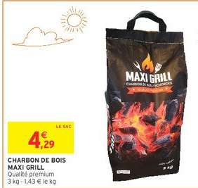 CHARBON DE BOIS MAXI GRILL