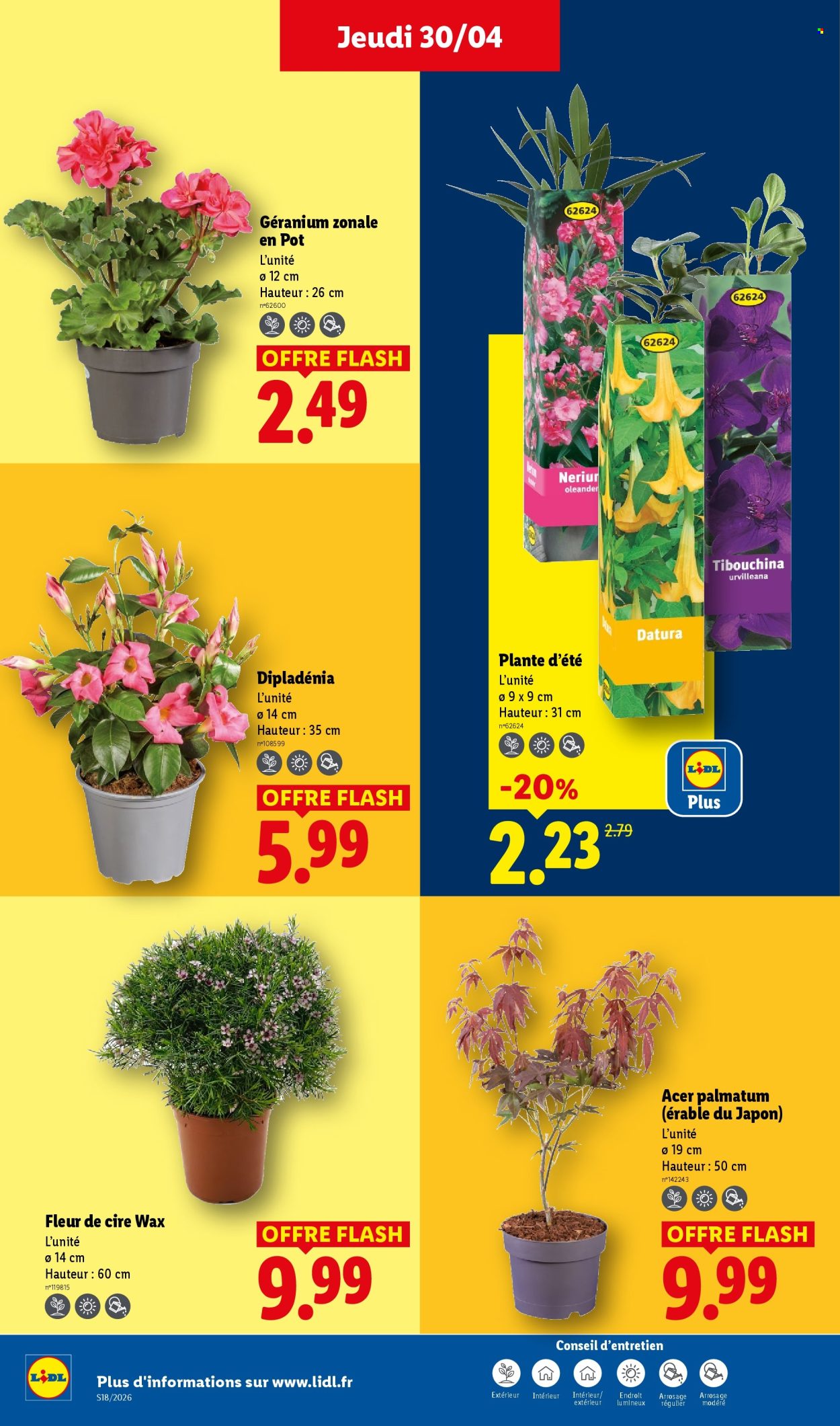 Catalogue Lidl - 30/04/2026 - 06/05/2026. Page 26