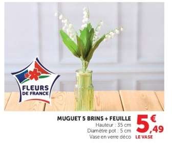 MUGUET 5 BRINS + FEUILLE