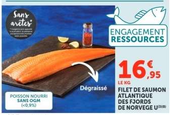 FILET DE SAUMON ATLANTIQUE DES FJORDS DE NORVEGE