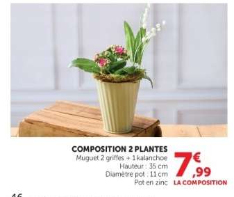 Composition 2 Plantes