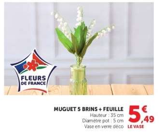 MUGUET 5 BRINS + FEUILLE