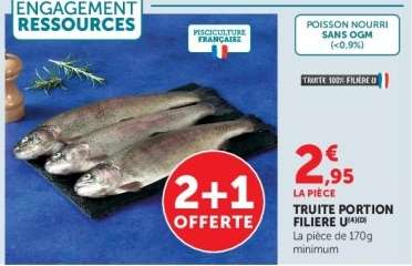 TRUITE PORTION FILIERE