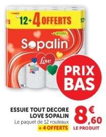 Essuie Tout Decore Love Sopalin